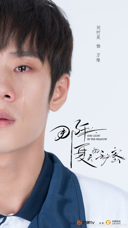 Dim Light in the Shadow China Web Drama